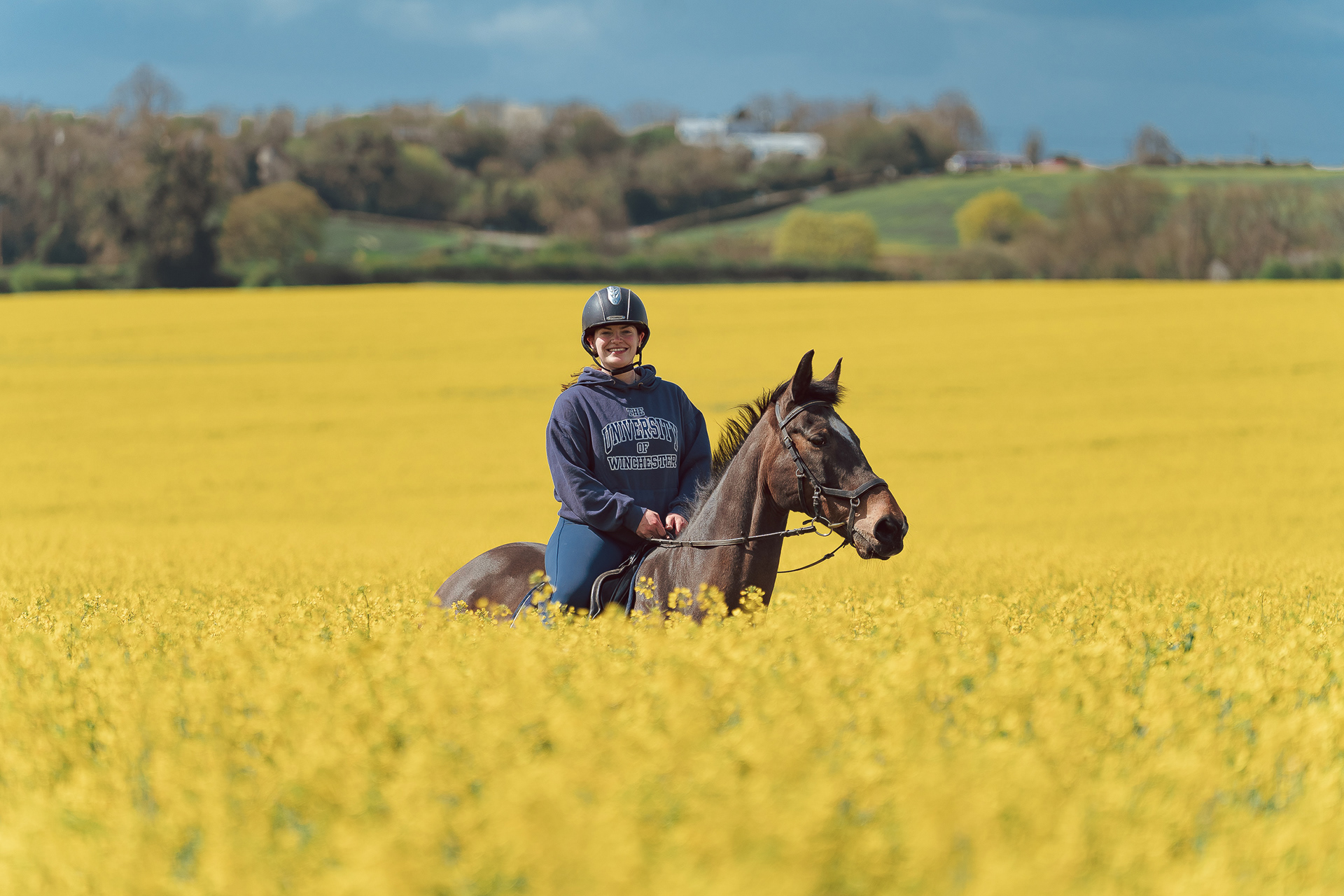 Pet Photography | A person wearing a helmet and navy hoodie rides a dark brown horse through a bright yellow field of blooming flowers, with green hills and trees in the distance under a partly cloudy sky. Nathan Mountain | Hampshire & London Freelance Photographer | Hampshire & London Camera Man